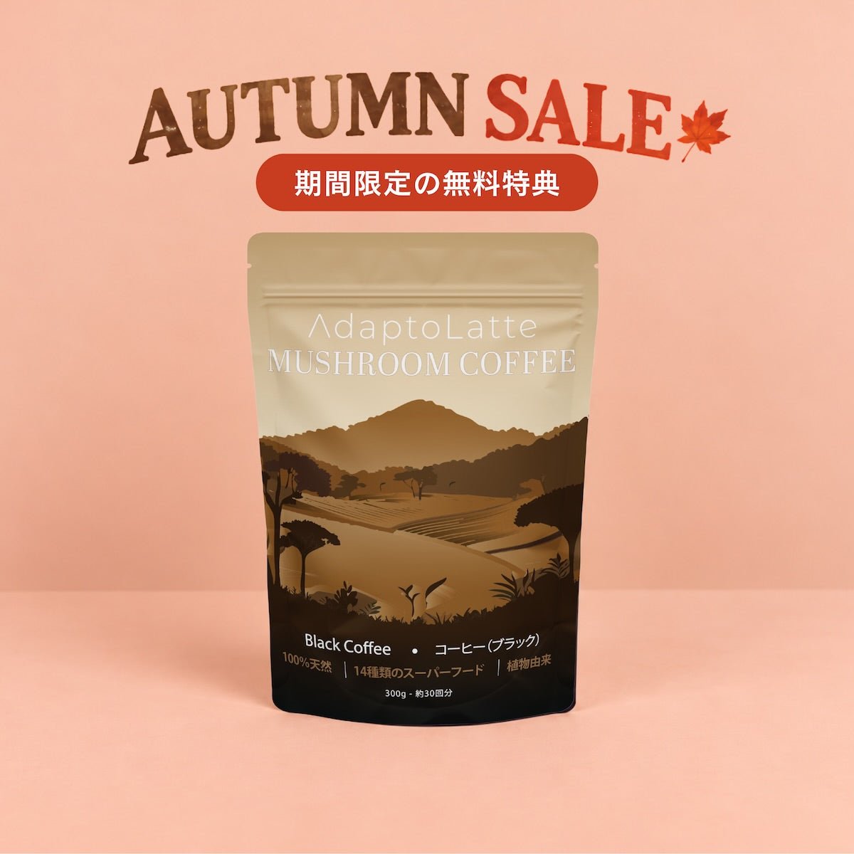 アダプトラテ　2袋 アダプトラテ | Mushroom Coffee | 機能性キノコ配合 |マッシュルーム