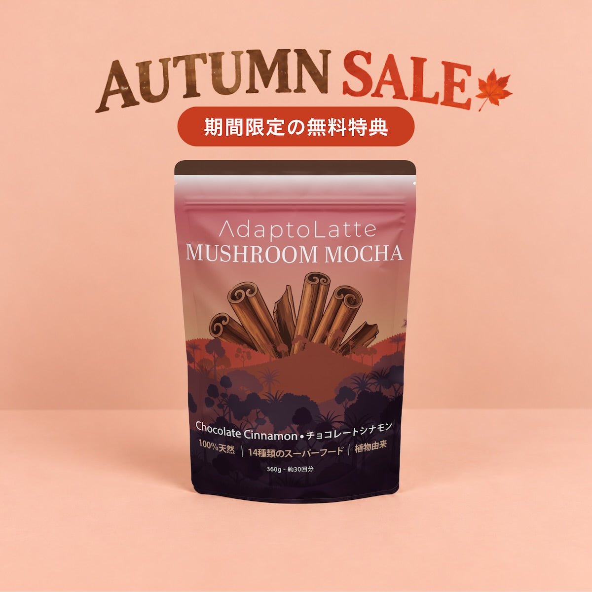 【無料特典】チョコシナモン（モカ）｜30杯分フルサイズパウチ