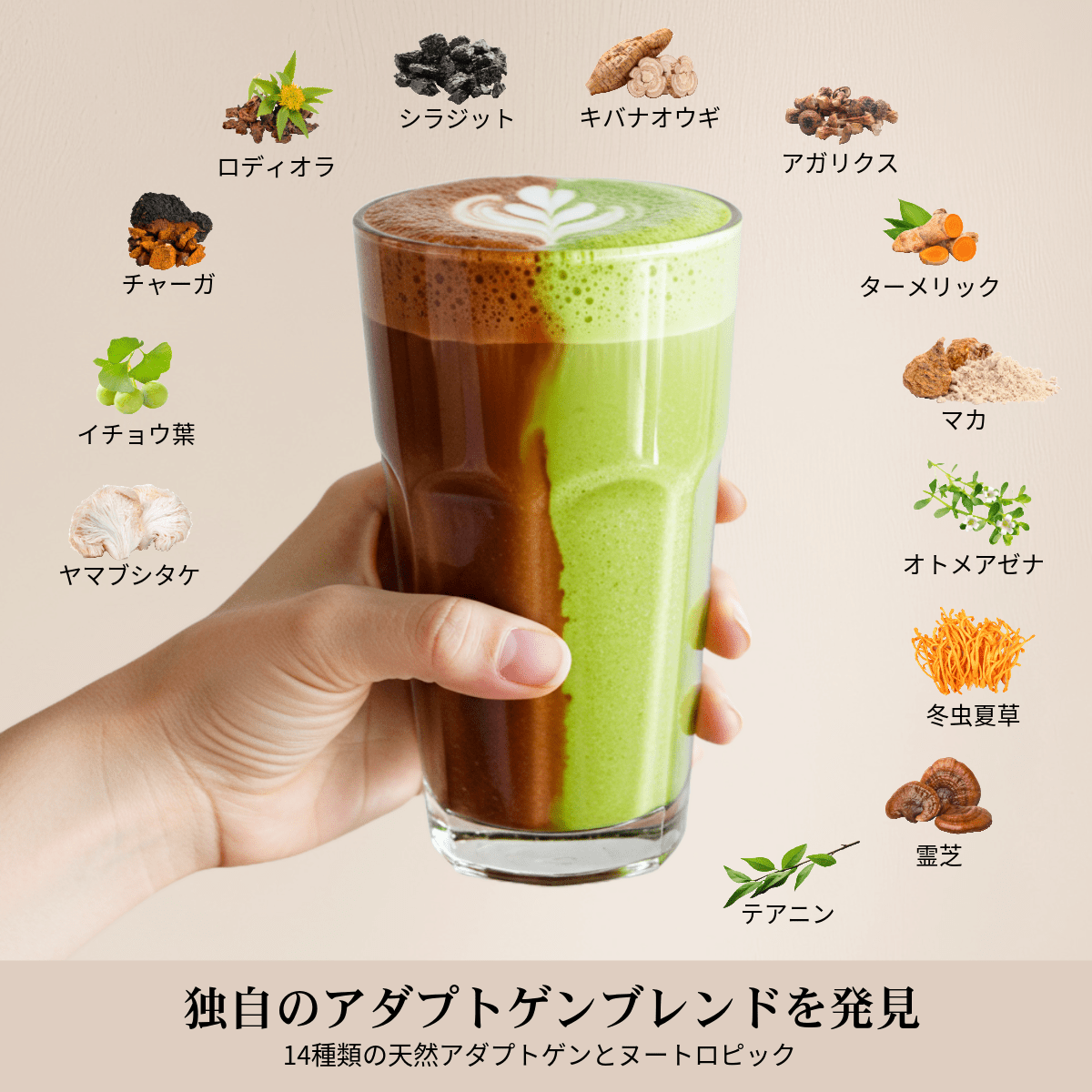 3種 オリジナル + デカフェ + 抹茶 スターターキット – AdaptoLatte JP 3種 オリジナル + デカフェ + 抹茶 スターターキット – AdaptoLatte JP